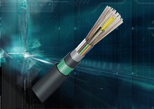 慈溪市三網(wǎng)通信設備廠 gyta6芯室外層絞光纜與燈具銷售動態(tài)